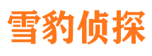 临桂外遇出轨调查取证